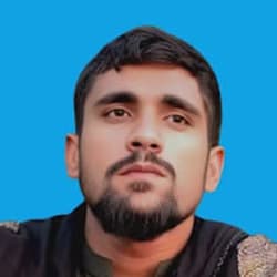 talharaees_seo