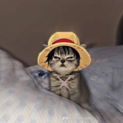 kacash