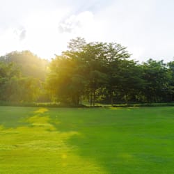 sunchenmin