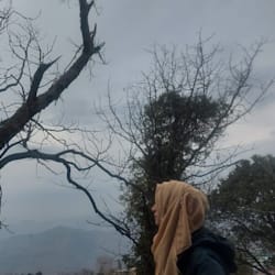 zainabshoukat1