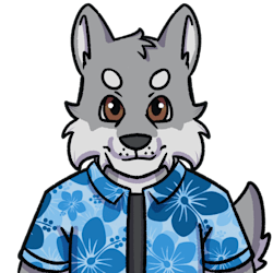 andrewzehusky