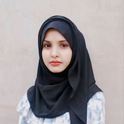 nida1wordpress
