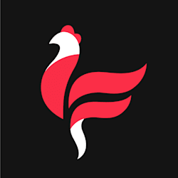 flyin_chikin