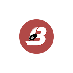 bt_web