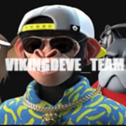 vikingsmartteam