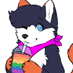 felixthehusky