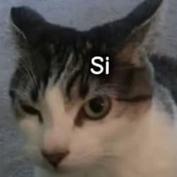 spxxkz
