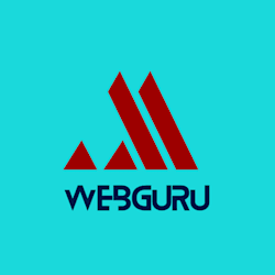 webguru623