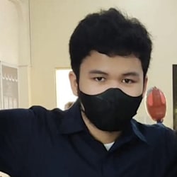 visalt1