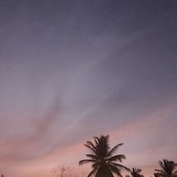 kusumaravi442
