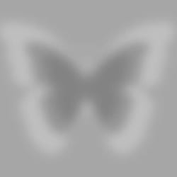 farha_noorain06