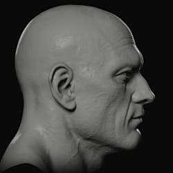 charlesdmodel