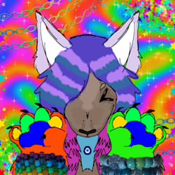 nova_st4rr