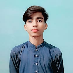 wp_mehboob