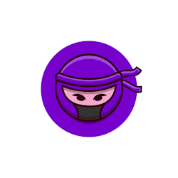 animator_ninja