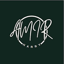 amir_harry