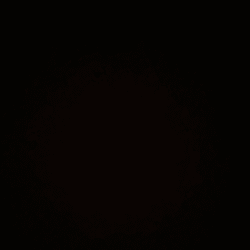 anantveersin444