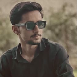 alihamzuii