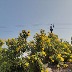 karanpathak579