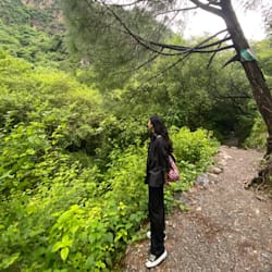 mehwish_expert3