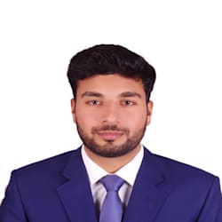 auditor_big4