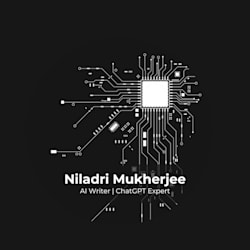niladriaiwriter