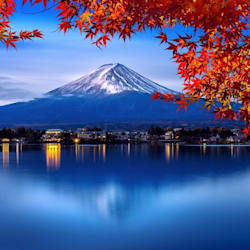 miajapan