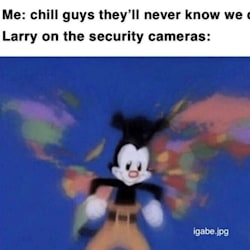 samreys