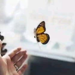 mrizwan8