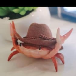 metanigth