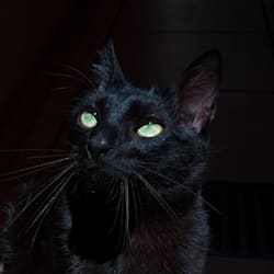awurii