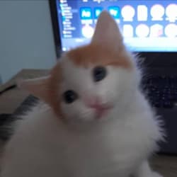 cloudyhi