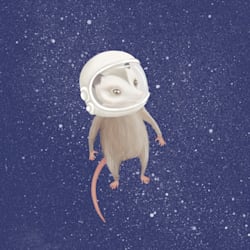 kozakura