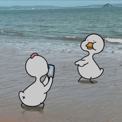 wdsfgdgf