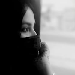 zoha_wpdesigner