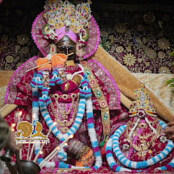 rohanbansia