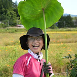 michihira