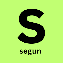 segun_omoniyi23