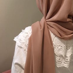 syedabaneen2