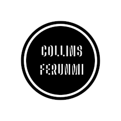 ferunmi_article