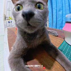 hendrai23