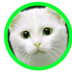 billi_khan