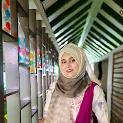 sanzidamoin