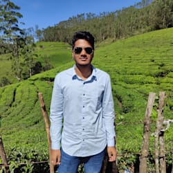 bhupixb