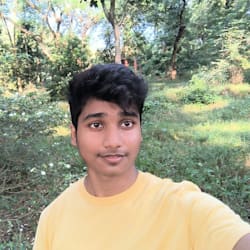 dhirajsarkar685