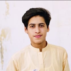 syedsafian