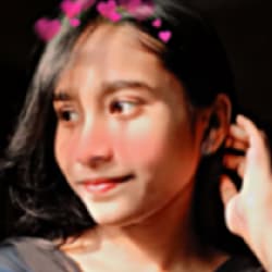 nowsineditor