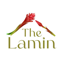lamin_doge