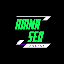 top_seo_amna