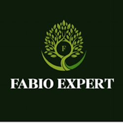 fabioexpert1